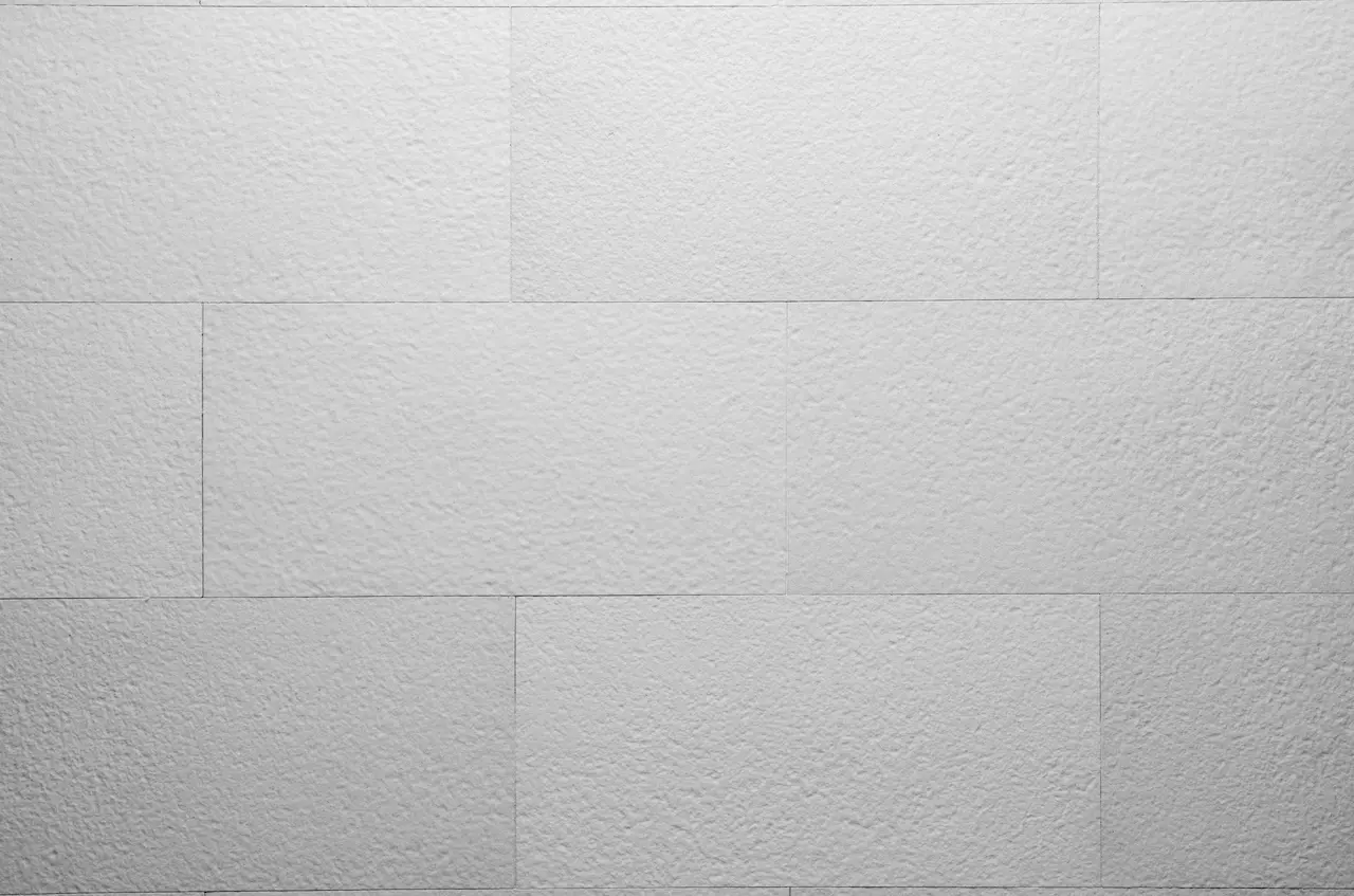 Butcher White — B01 BW textură seamless KORDEKO