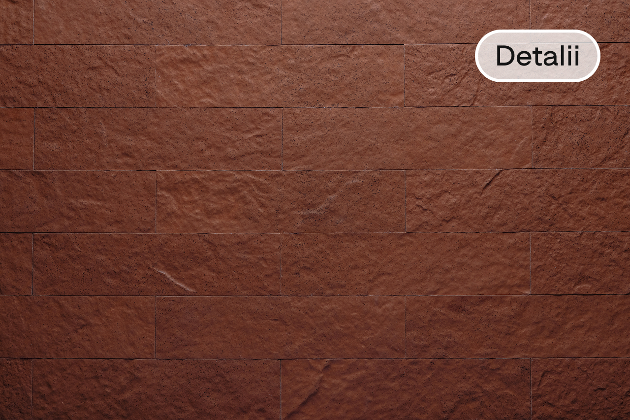 Placi de clinker pentru soclu Loft Red Clay